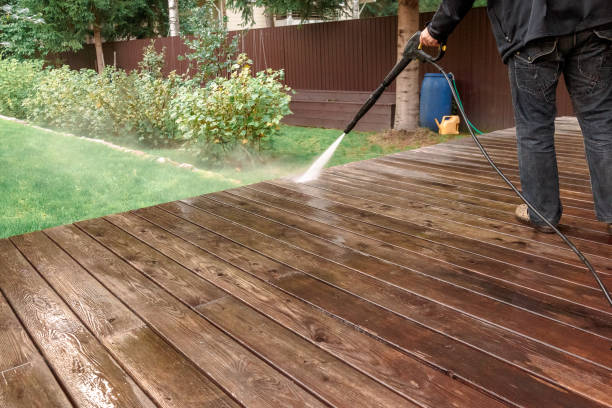 Best Solar Panel Cleaning  in Carbon Hill, AL